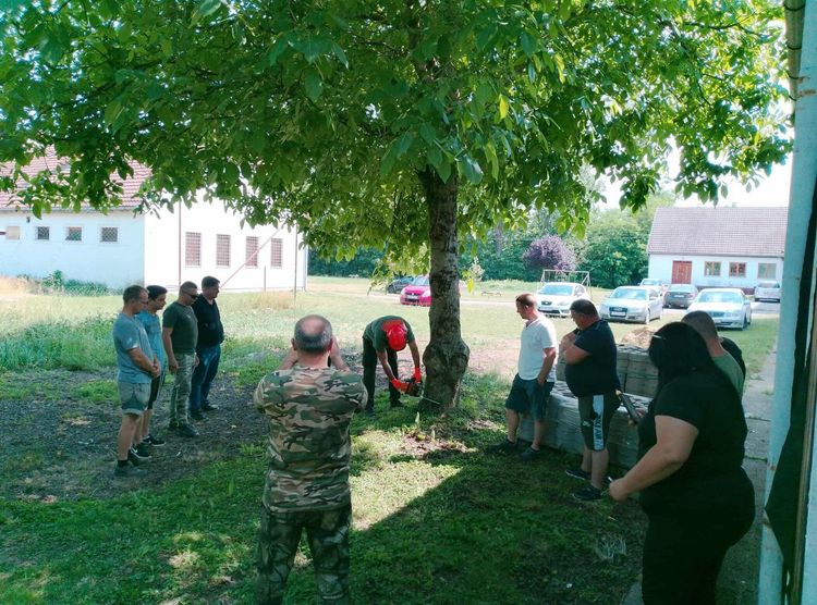 Nyári gyakorlat mezőgazdasági és erdészeti ágazat